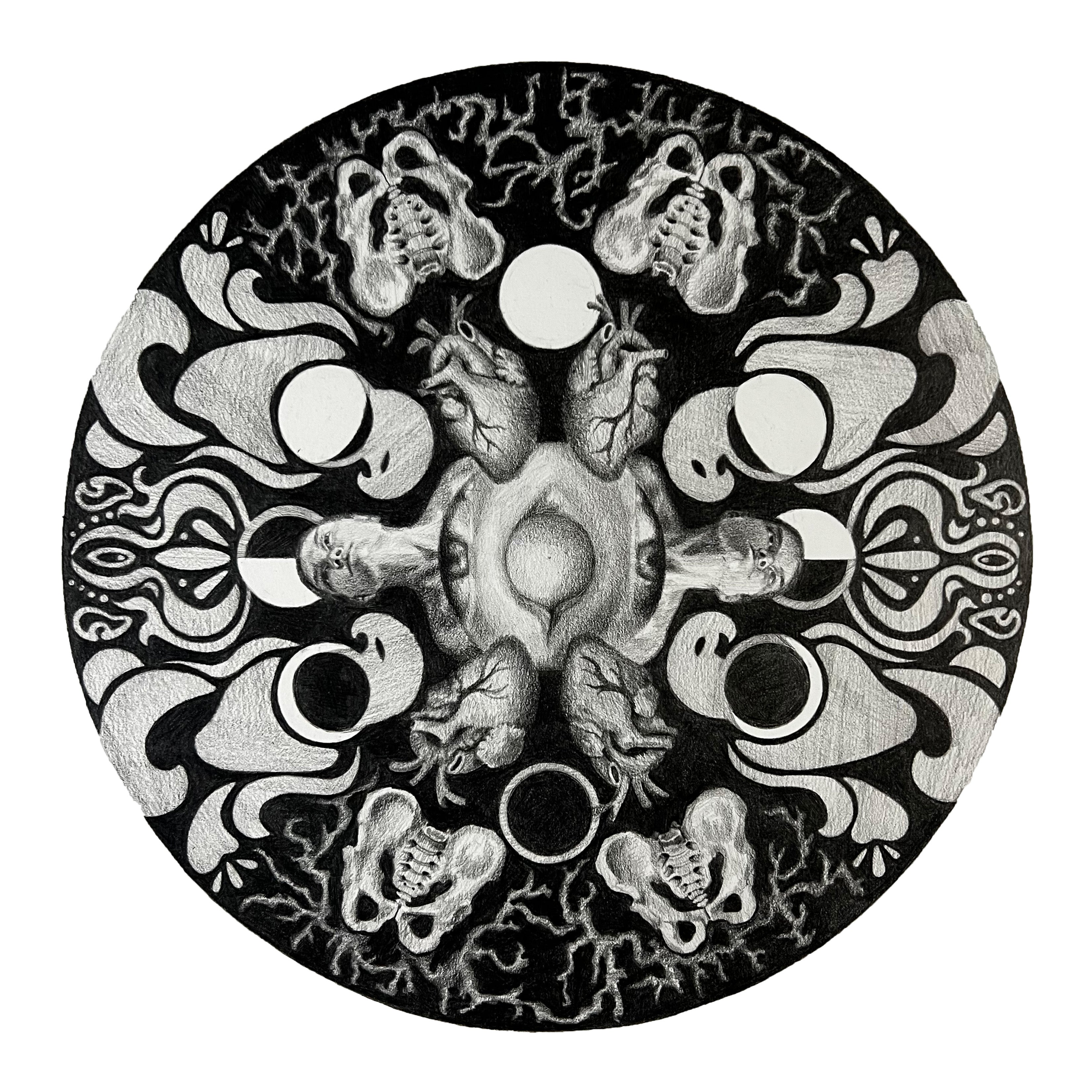 Graphite Illustration